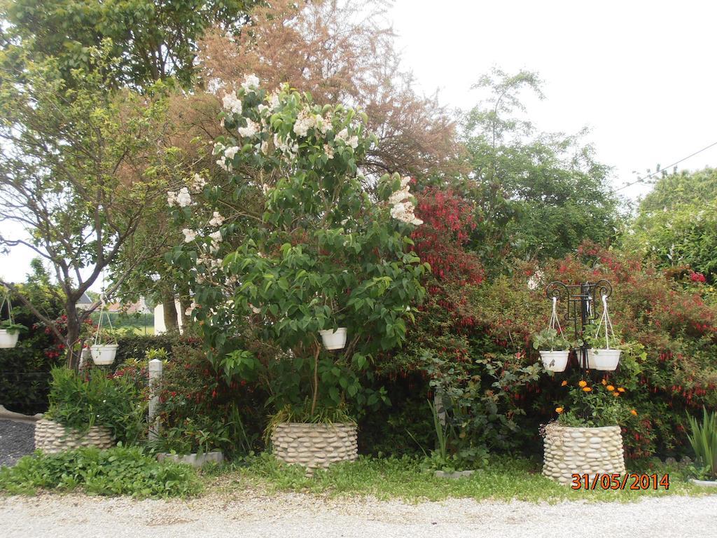 Apartamento Les Galets Tracy-sur-Mer Exterior foto